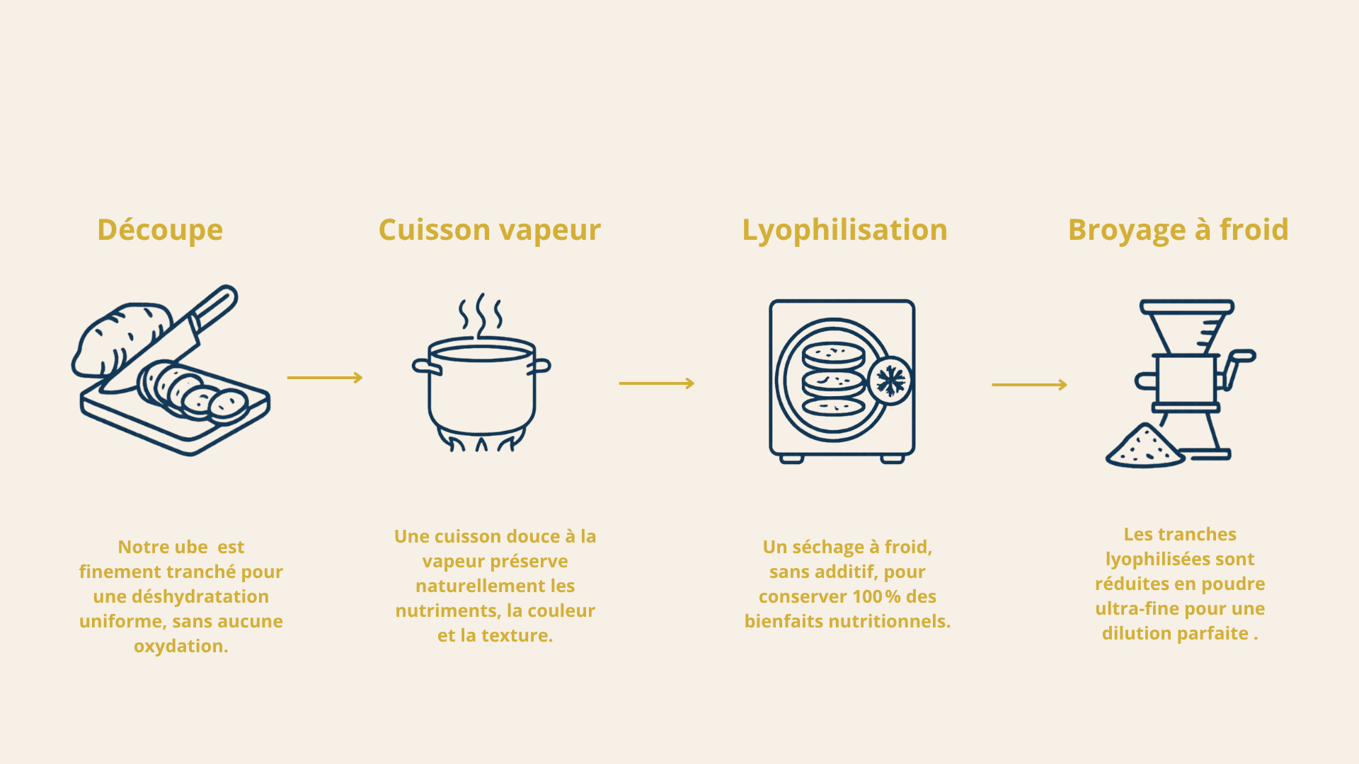 Étapes de fabrication de la poudre d’ube Bayana : découpe, cuisson vapeur, lyophilisation et broyage à froid pour préserver les nutriments